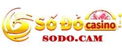 sodo.cam