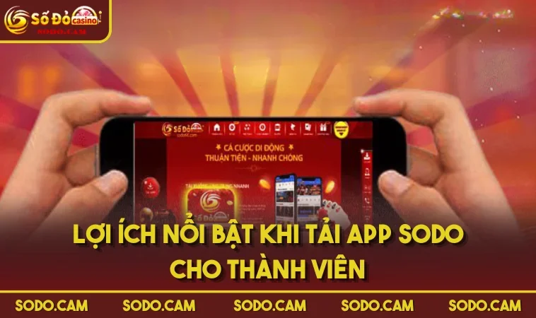 Lợi ích nổi bật khi tải app SODO cho thành viên